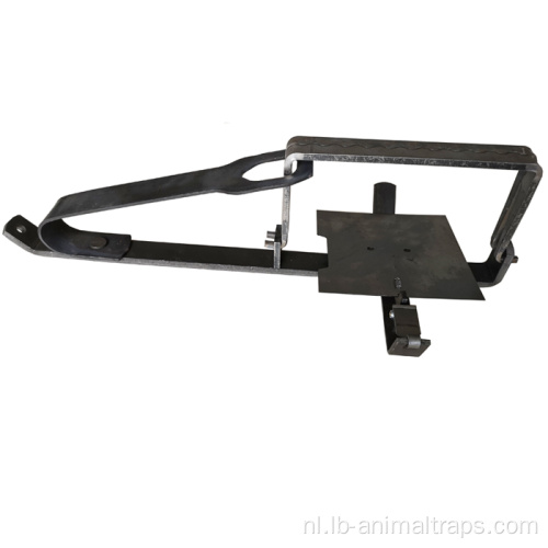 Enkele lange veer flexibele voetvallen